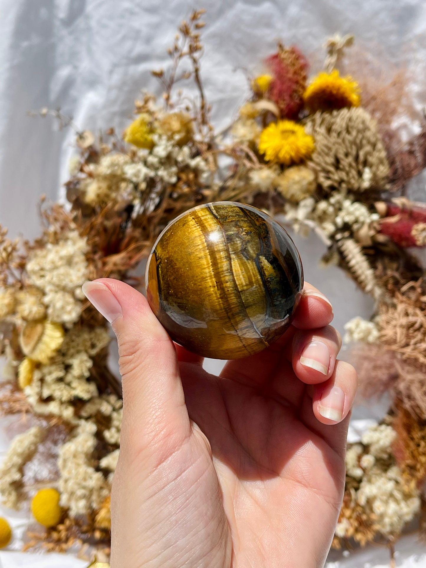 Tiger Eye Sphere #1