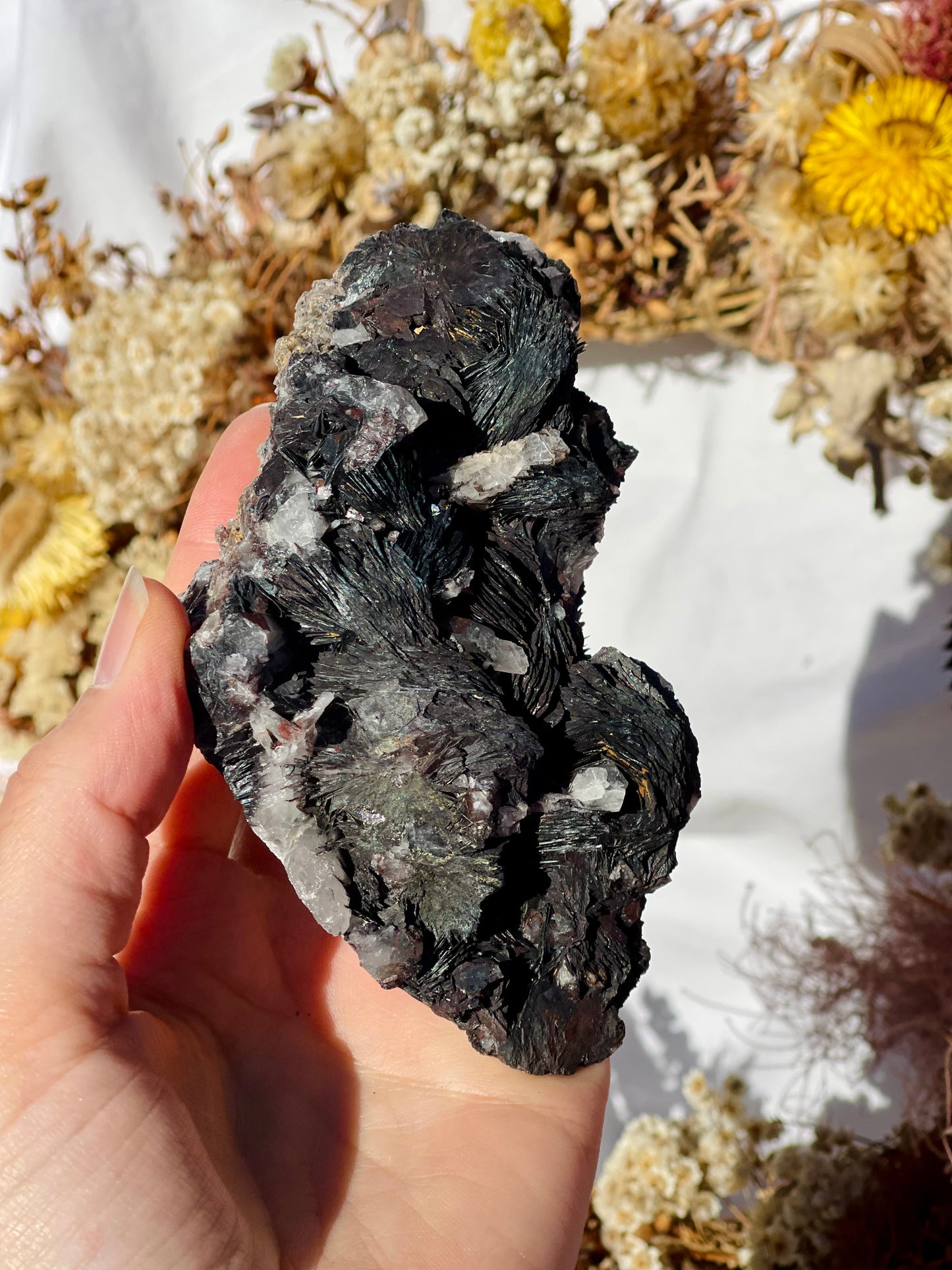 Black Rose Specularite With Quartz #2