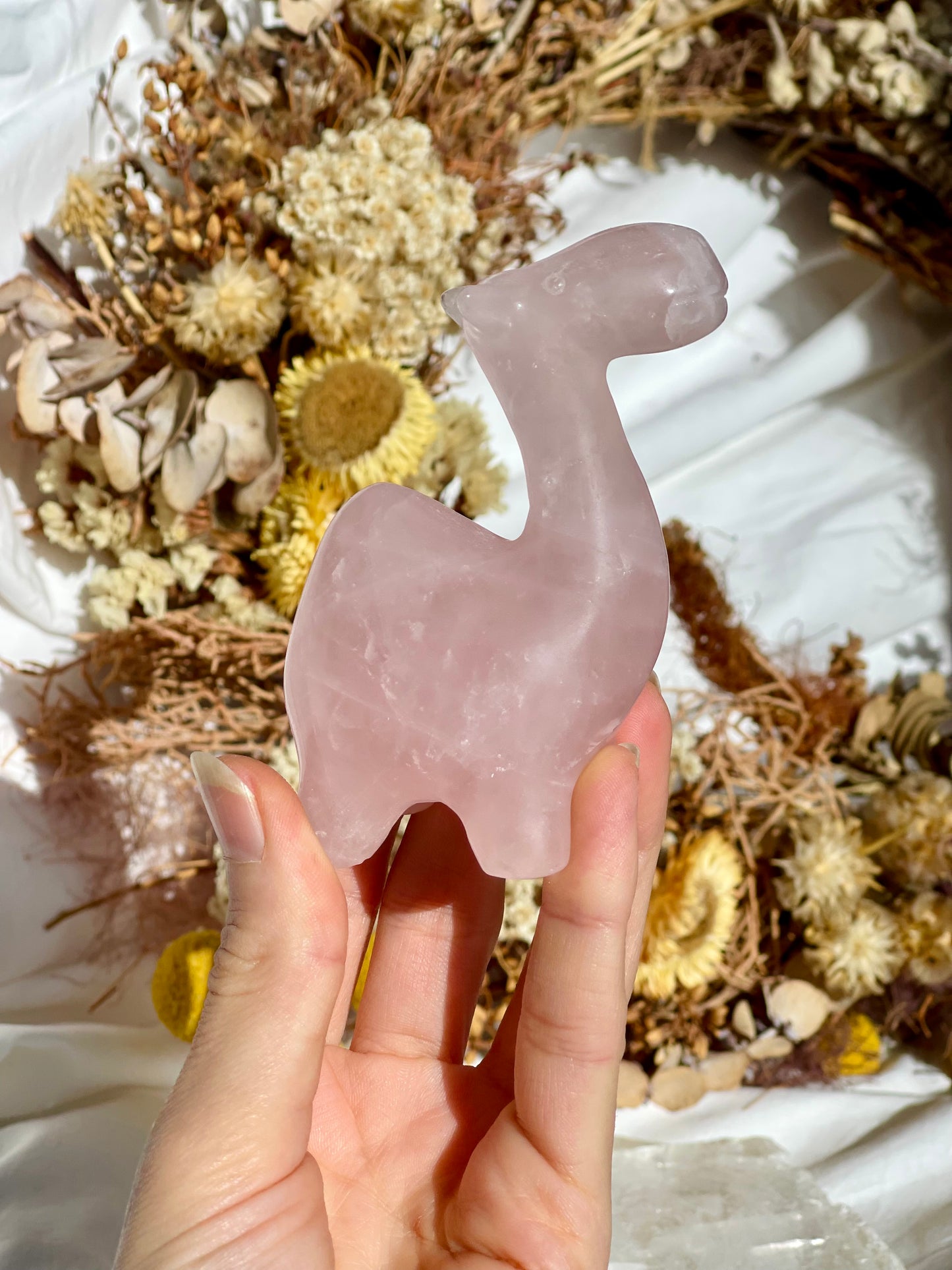 Rose Quartz Camel