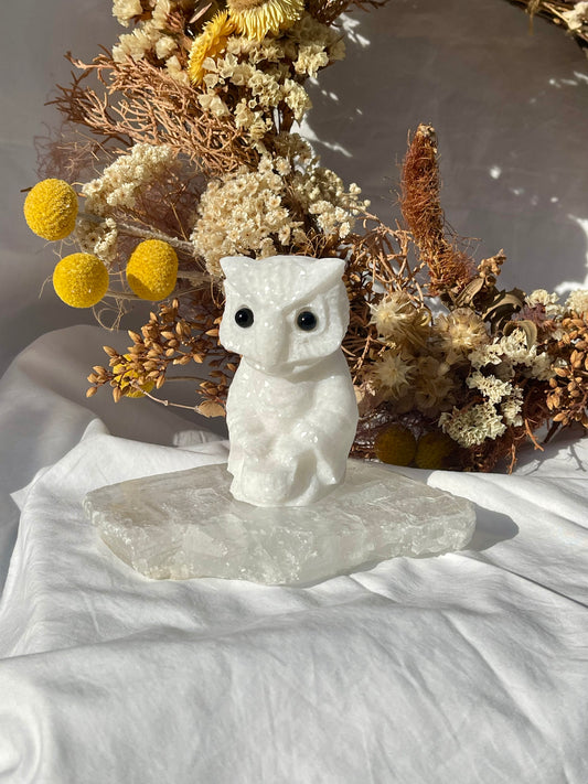 White Jade Robed Owl