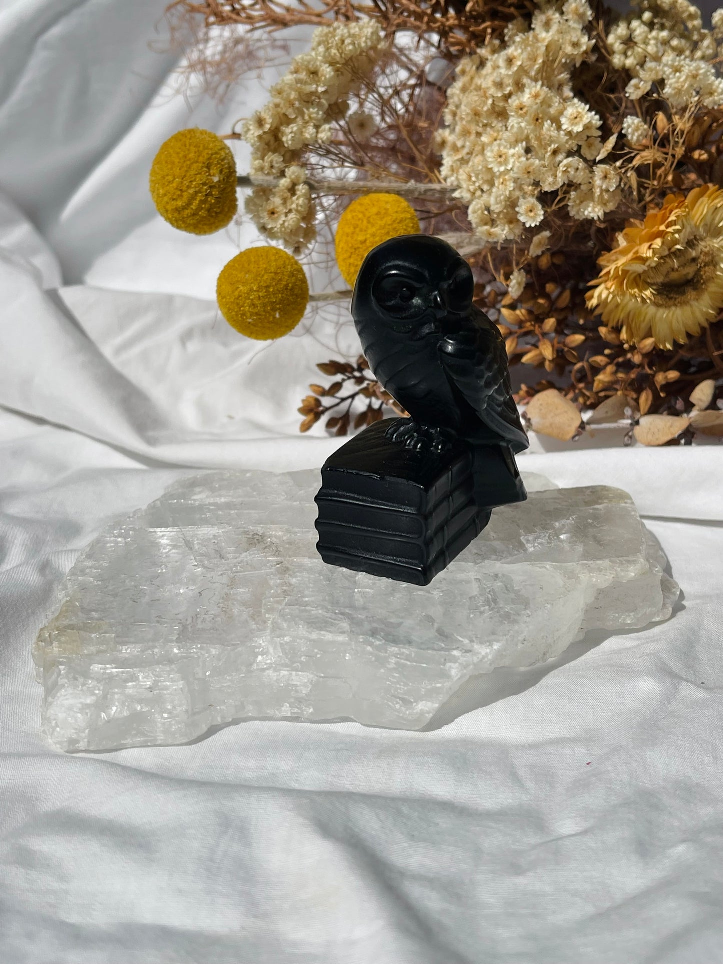 Black Obsidian Owl #2