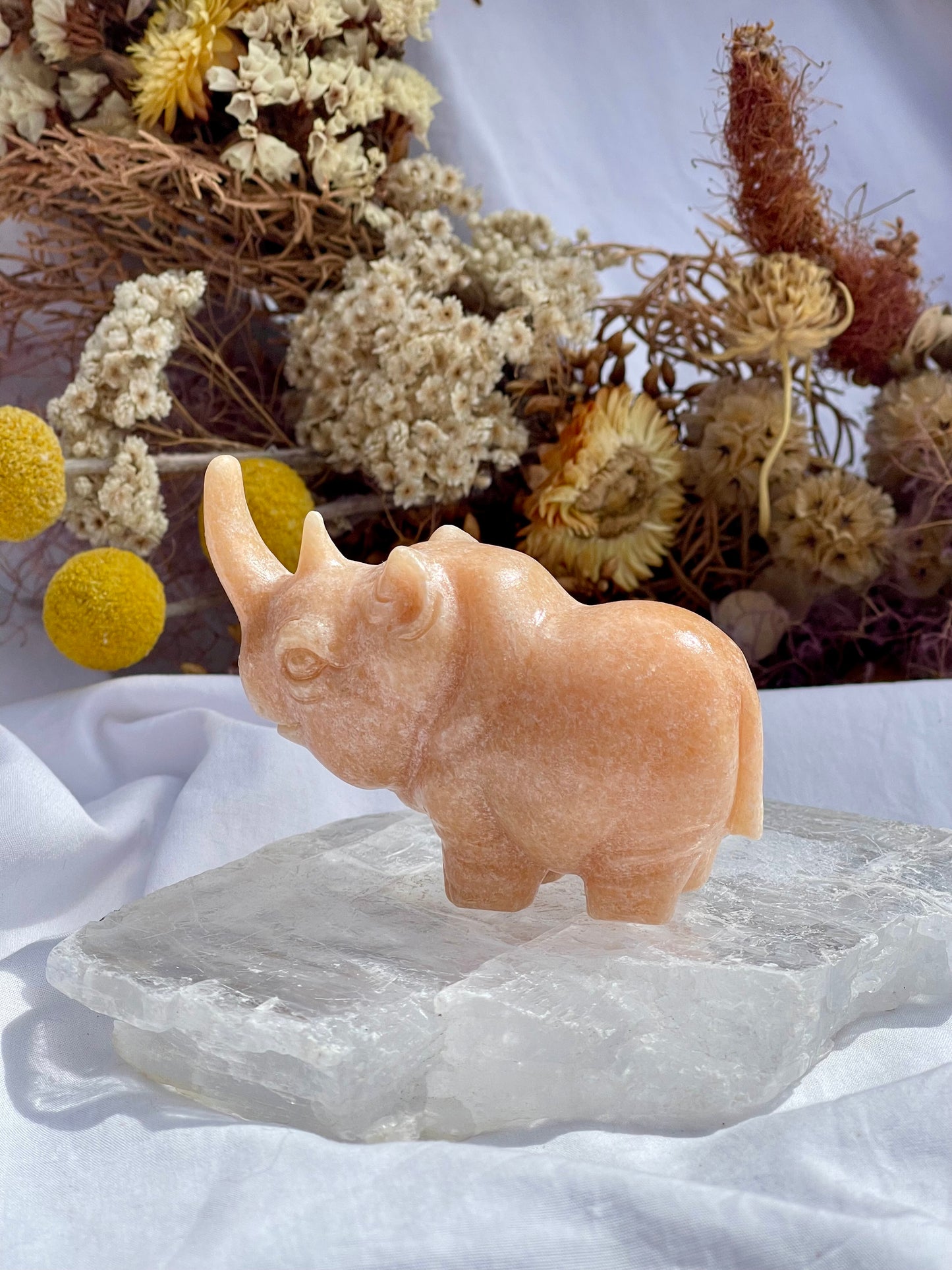 Sunstone Rhino