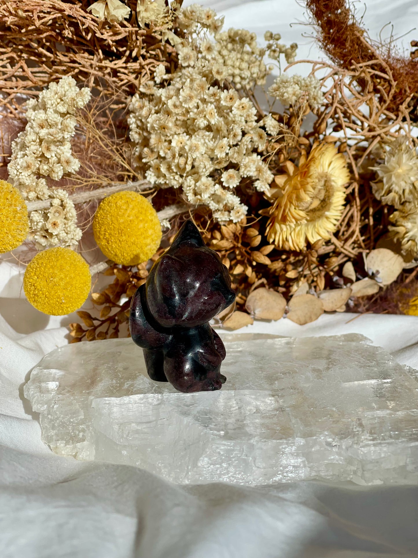 Garnet / Astrophyllite Fox