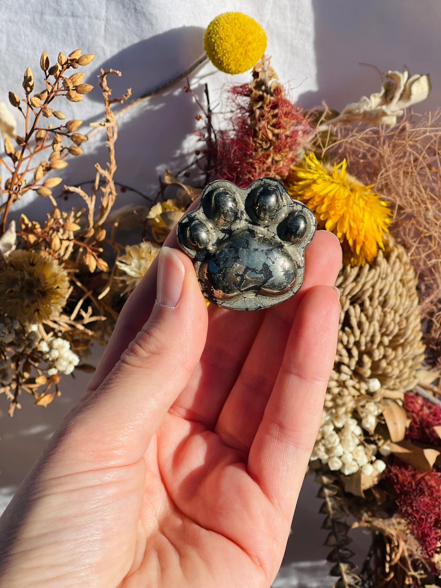 Pyrite Paw