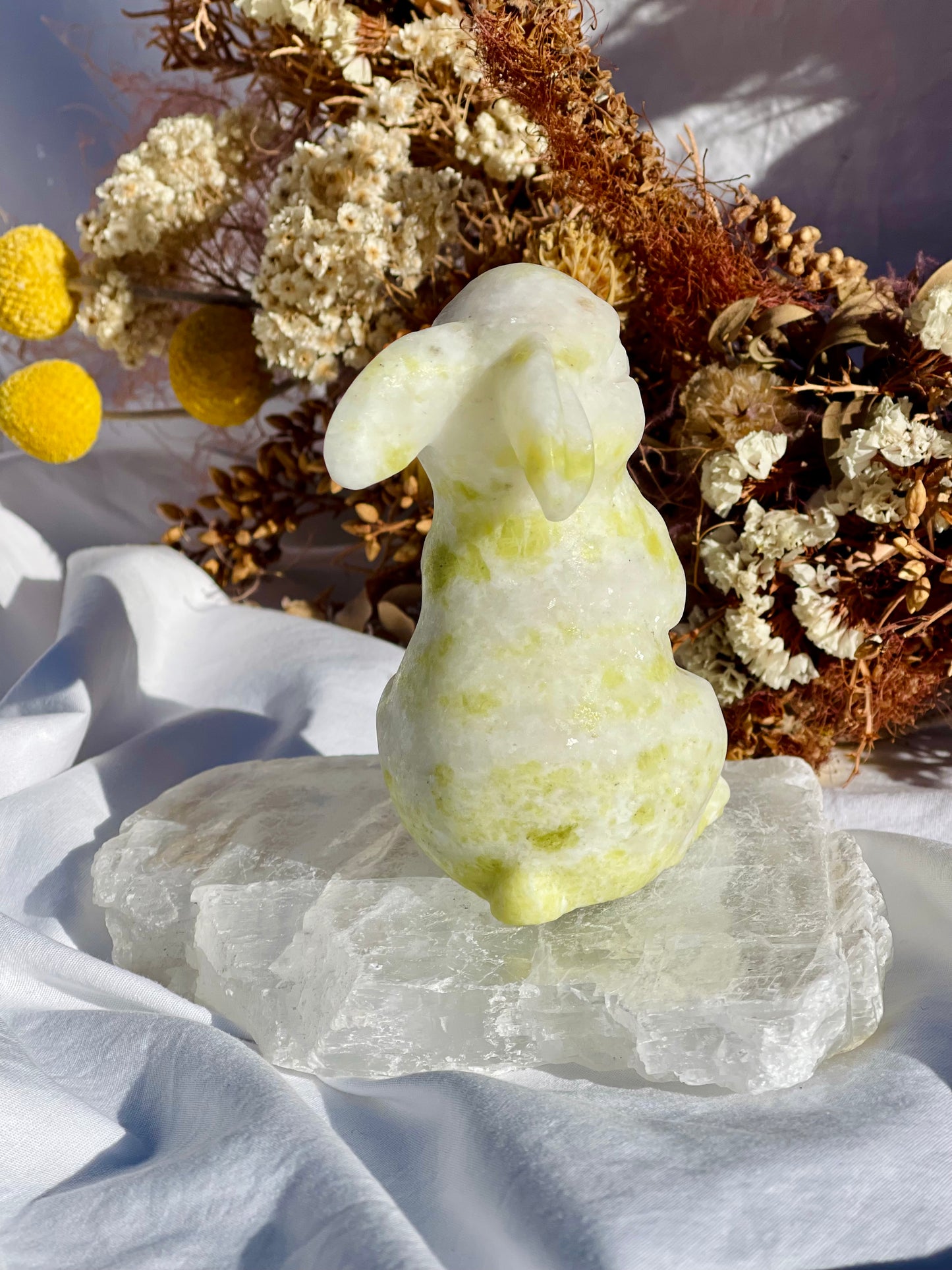 Lemon Jade Bunny