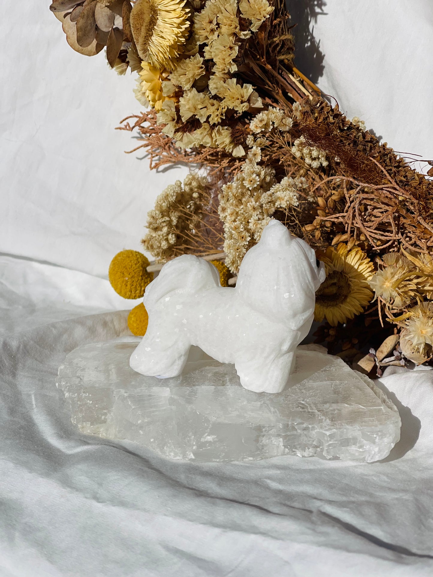 White Jade Dog