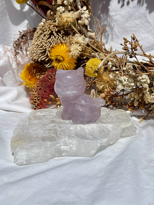 Purple Fluorite Grumpy Cat