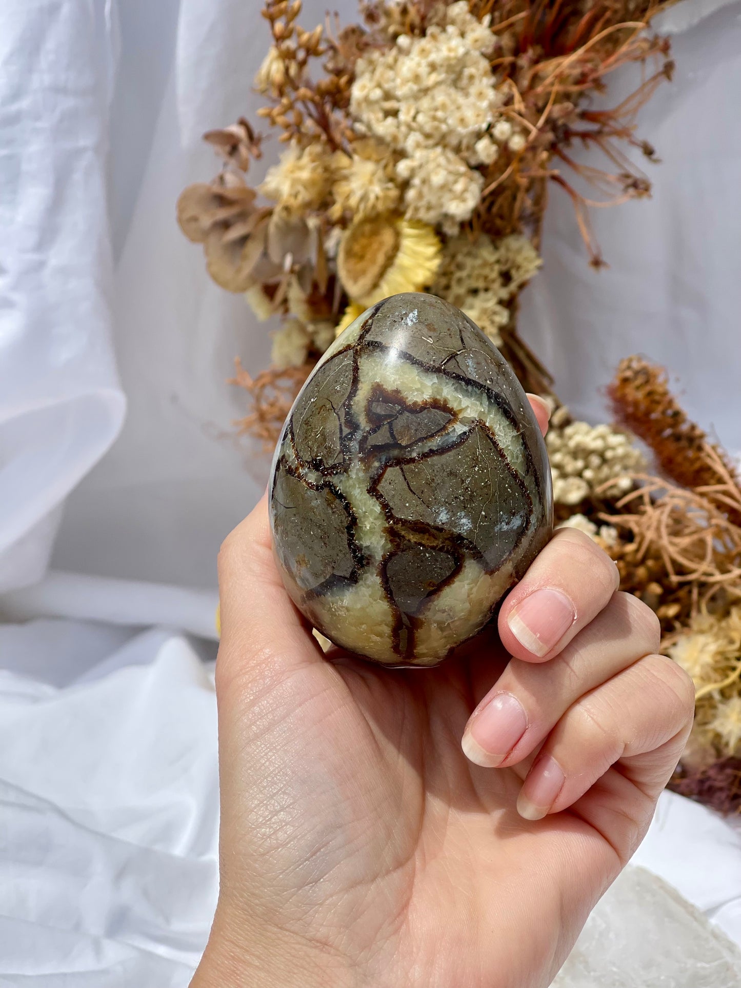 Septarian Dragon Stone Egg #2