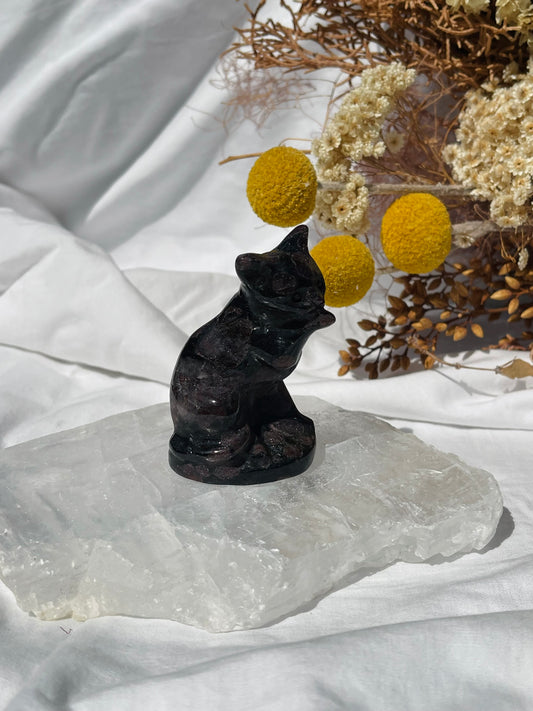 Garnet Astrophyllite Cat #1
