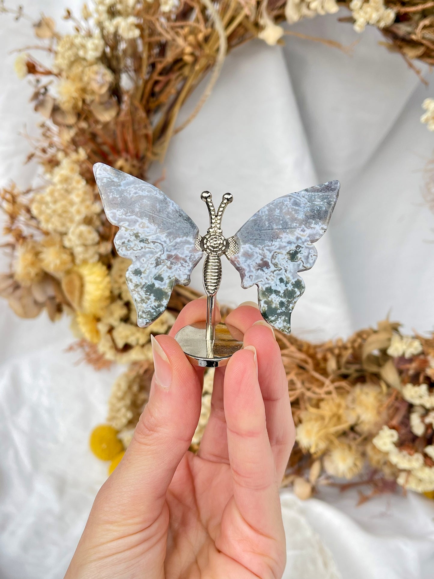 Ocean Jasper Butterfly #1