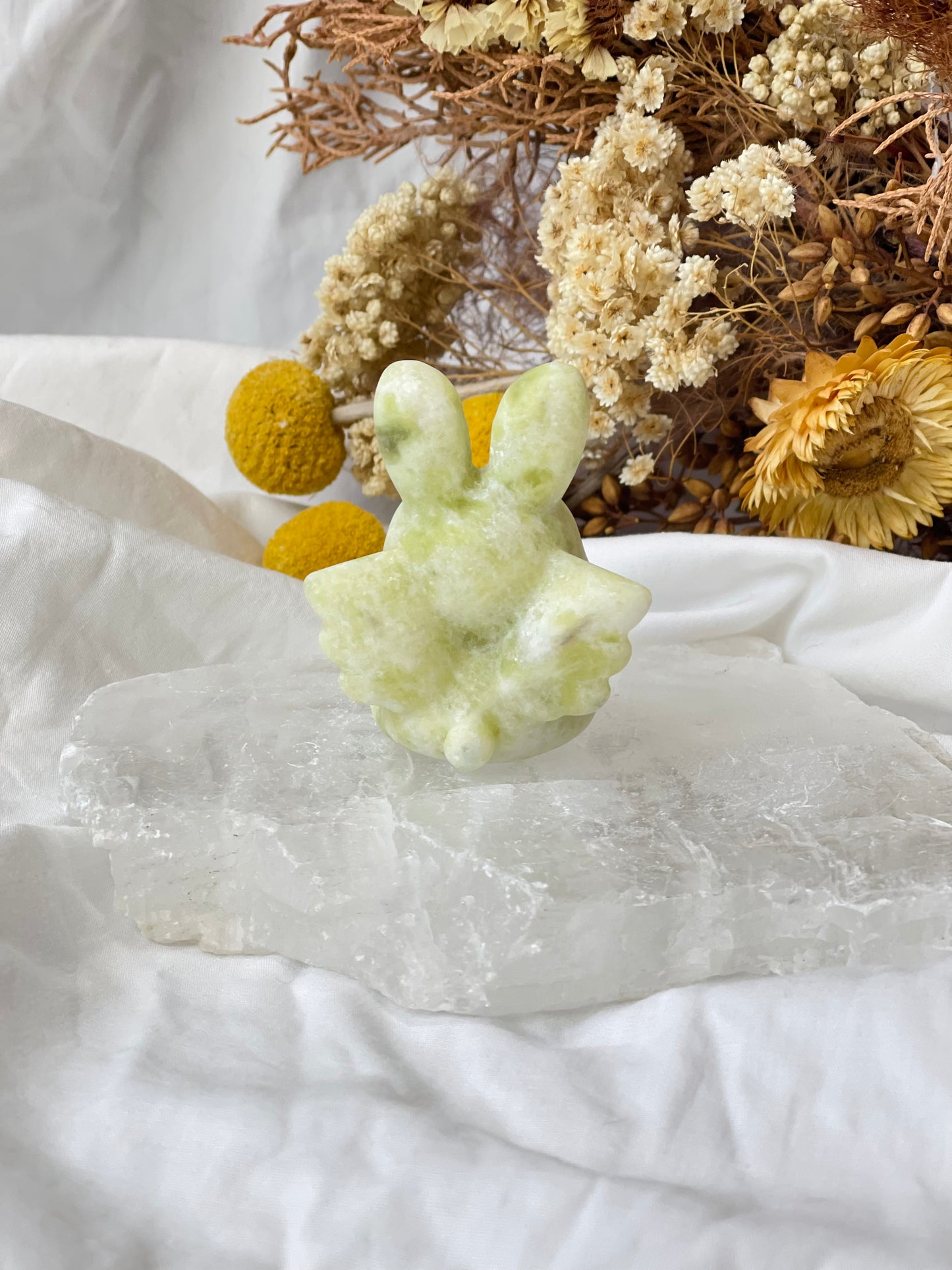 Lemon Jade Winged Bunny #2