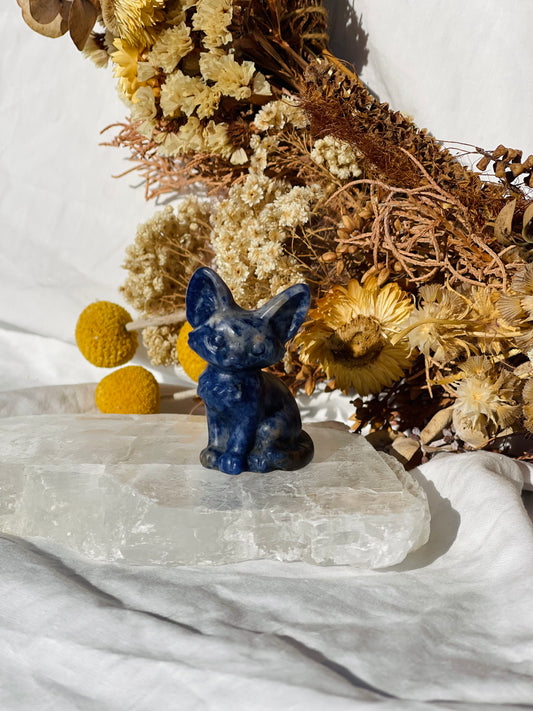 Sodalite Cat