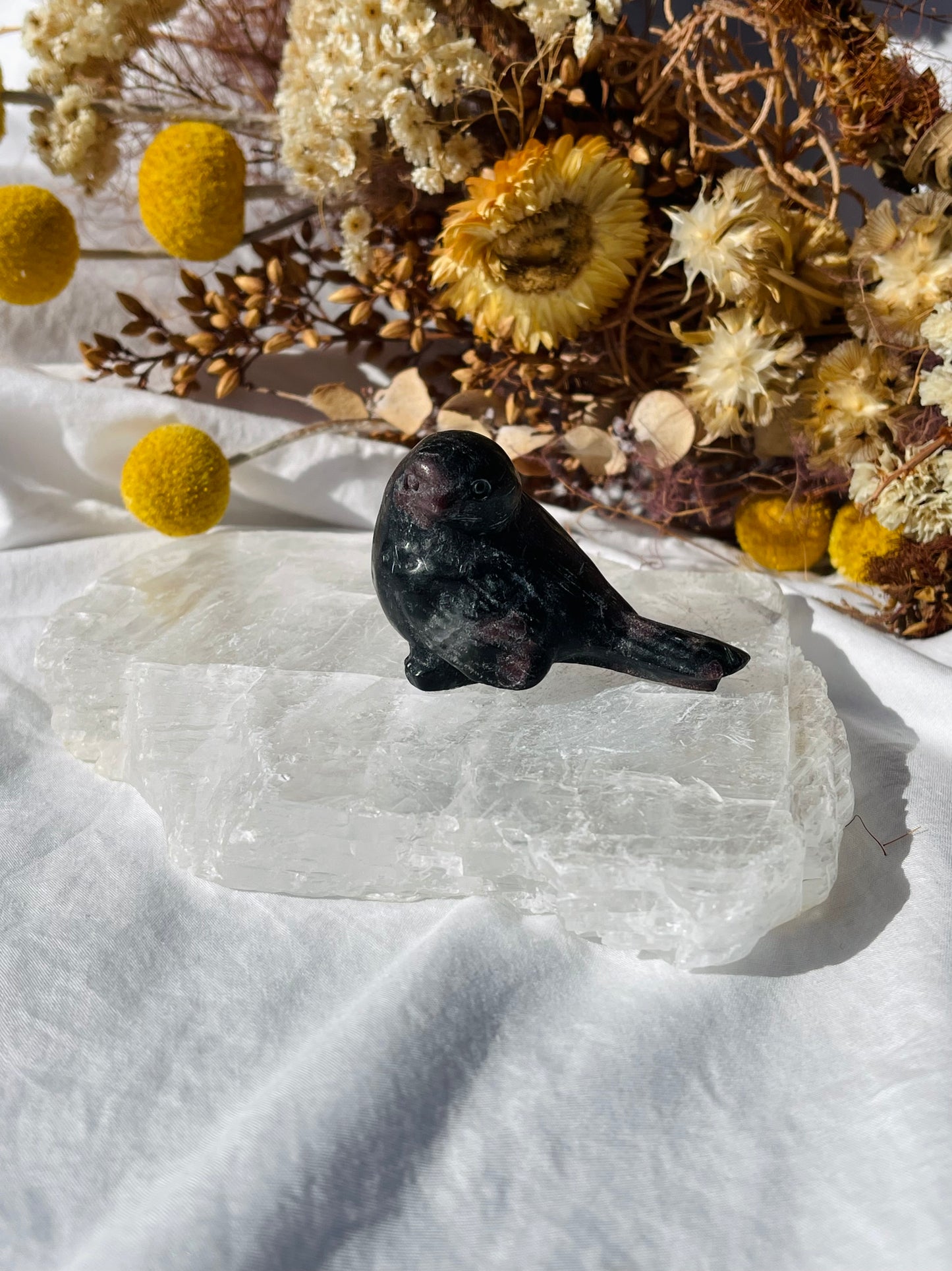 Garnet Astrophyllite Bird #1