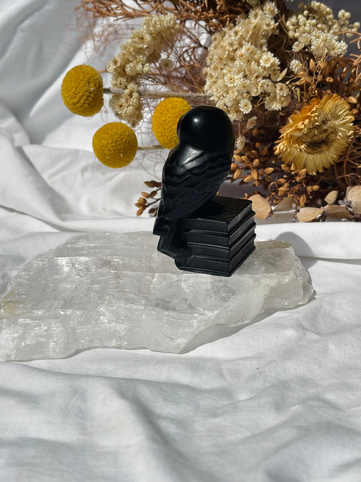 Black Obsidian Owl #2