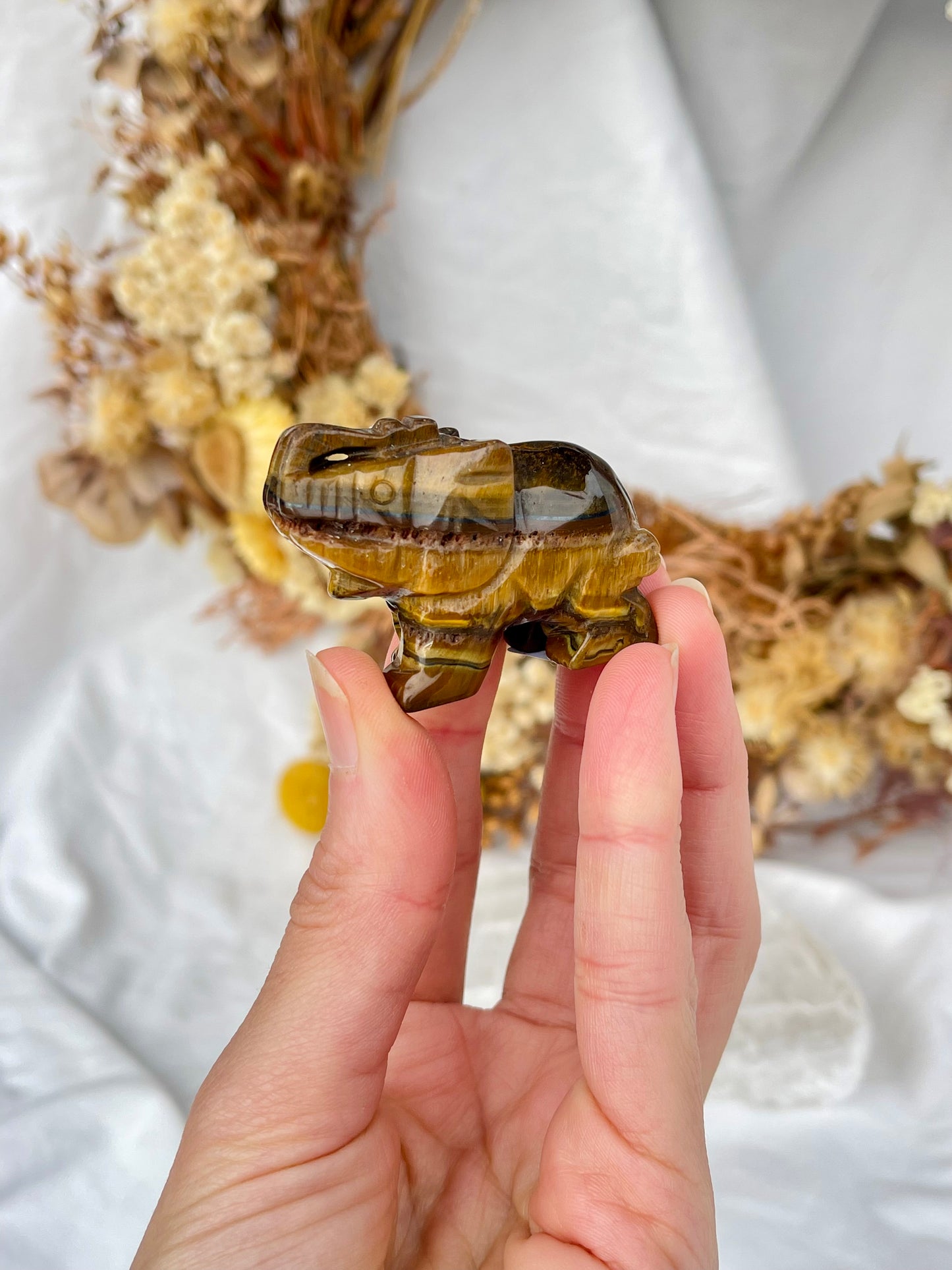 Tiger Eye Elephant #2