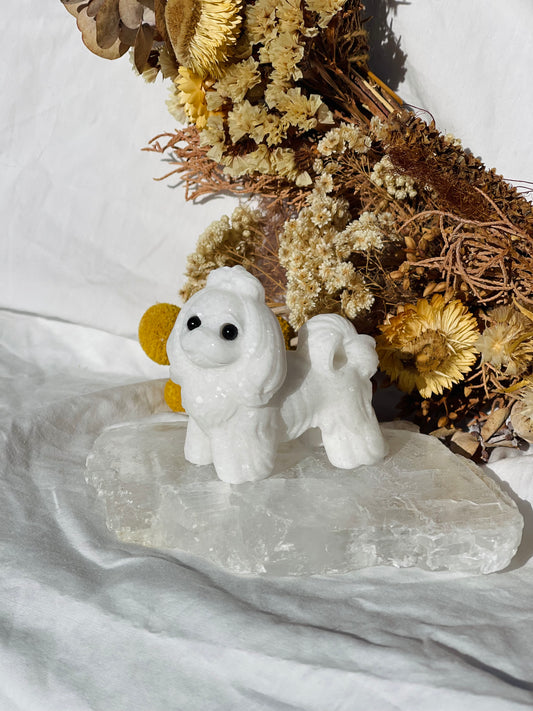 White Jade Dog