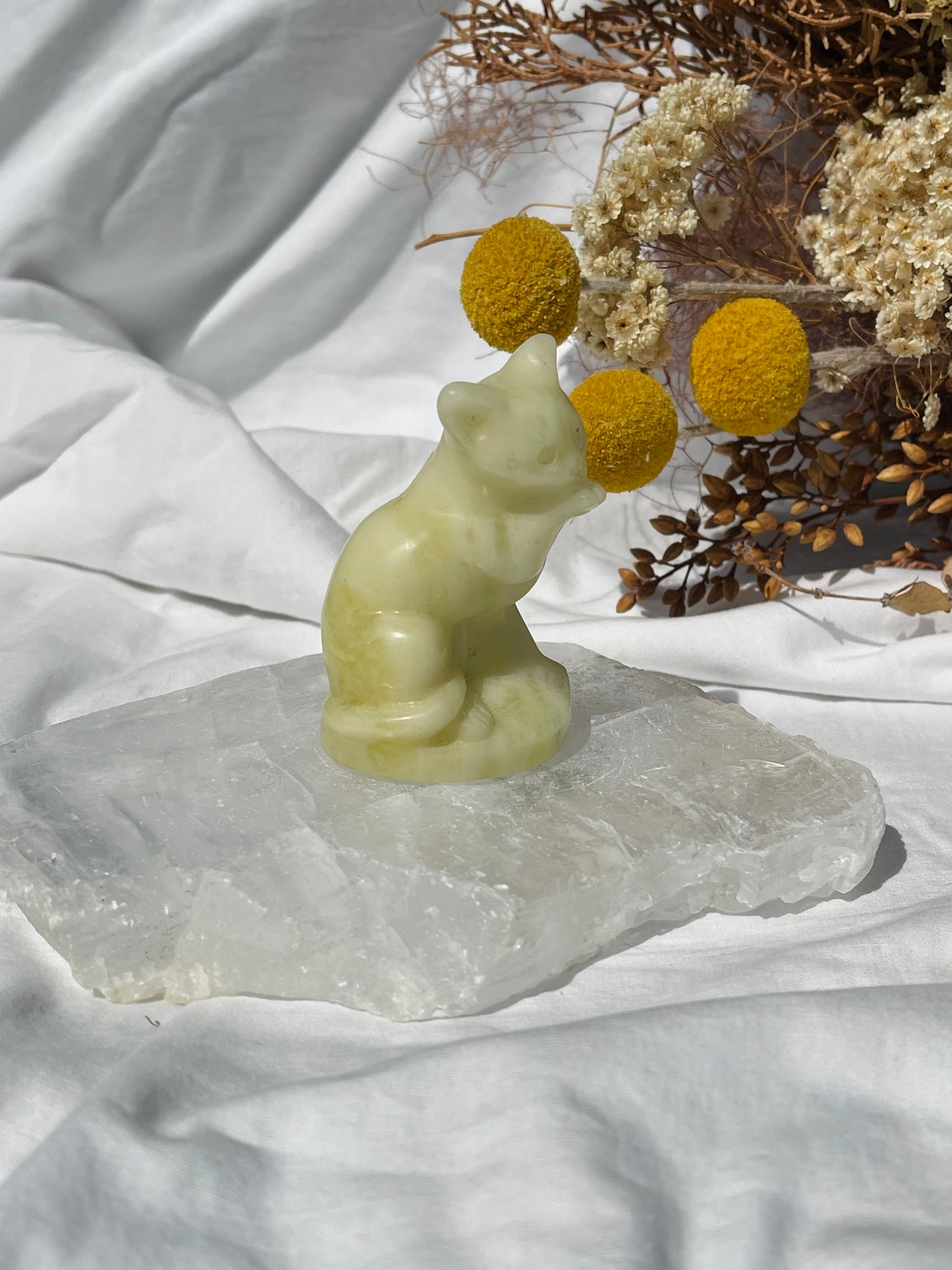 Lemon Jade Cat
