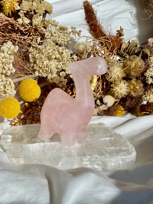 Rose Quartz Camel