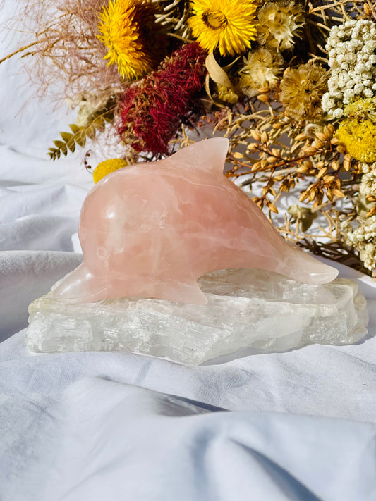 Rose Quartz Dolphin