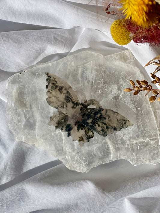 Green Moss Agate Butterfly #3