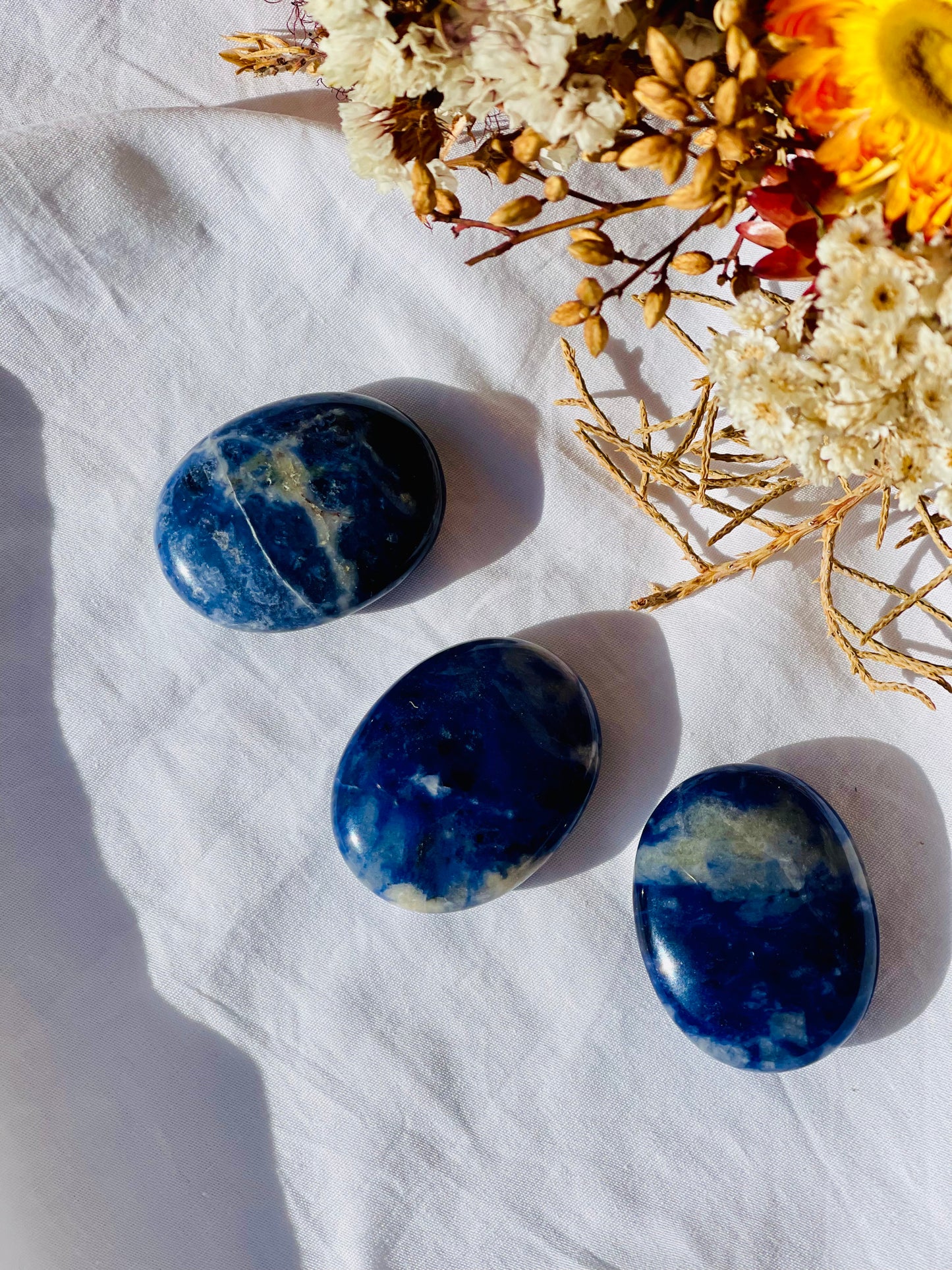 Sodalite Mini Palmstone