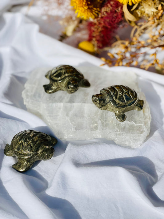 Pyrite Turtle