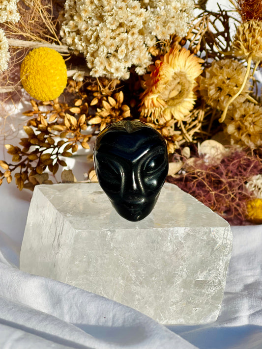 Black Obsidian Alien Head