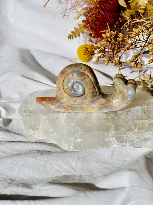 Moonstone | Sunstone Snail