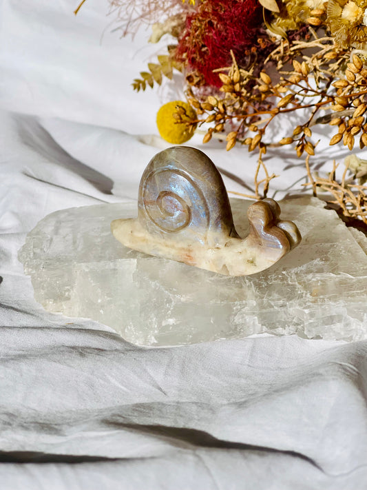 Moonstone | Sunstone | Smokey Quartz Snail