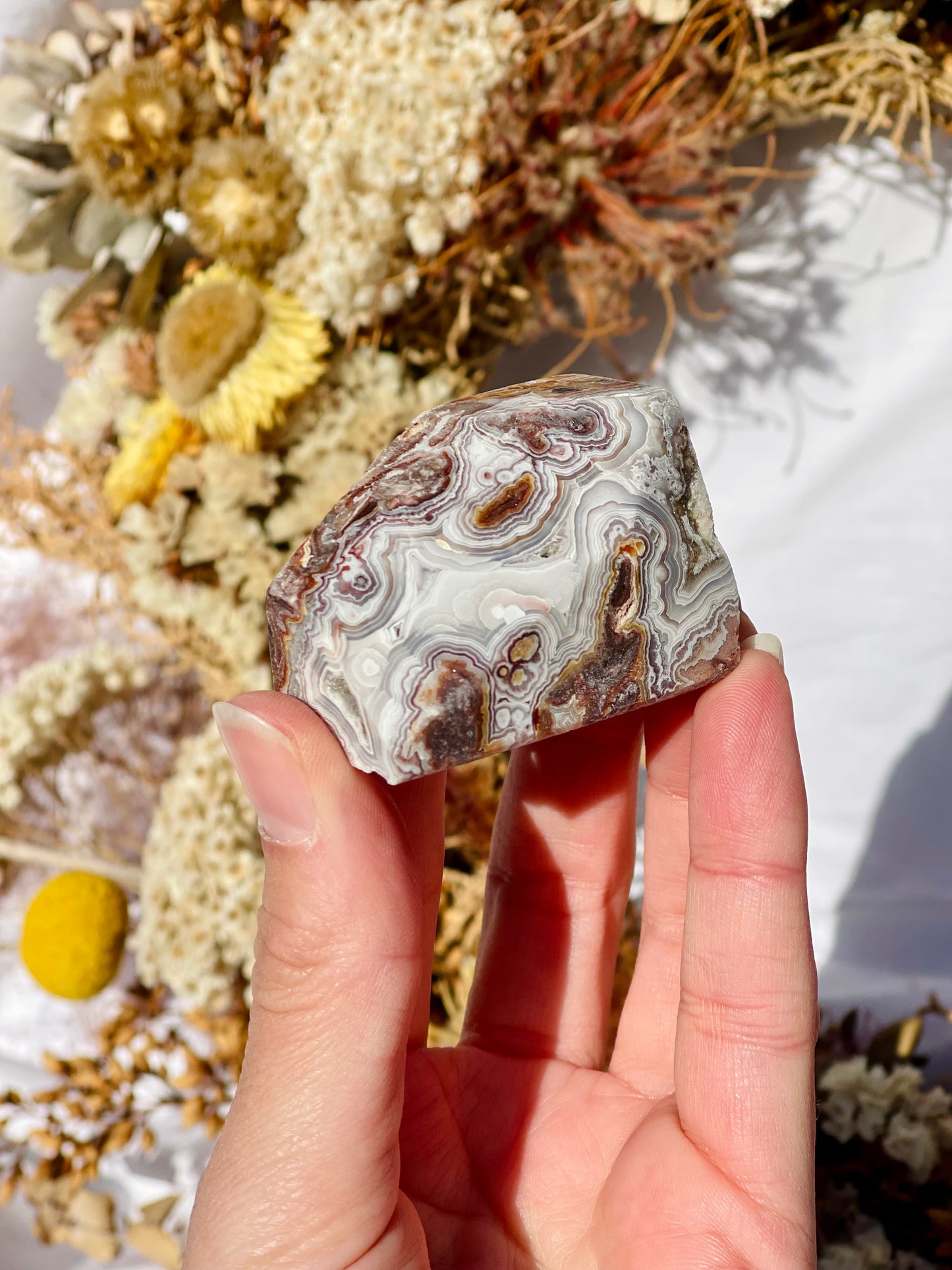 Mexican lace Agate Freeform B