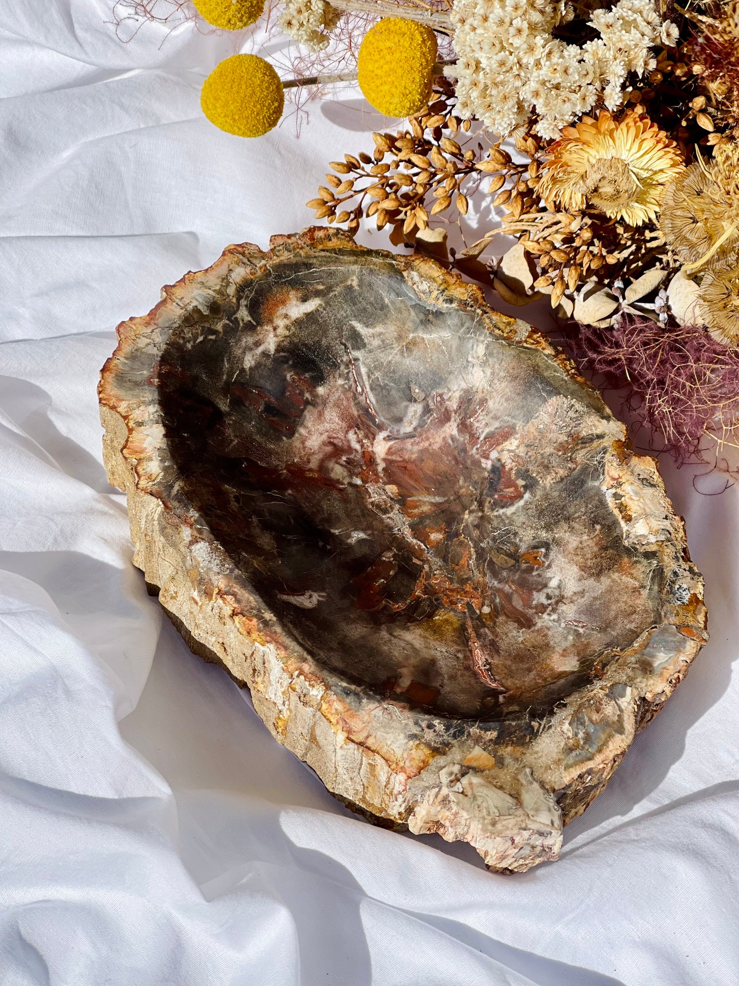 Petrified Wood Bowl