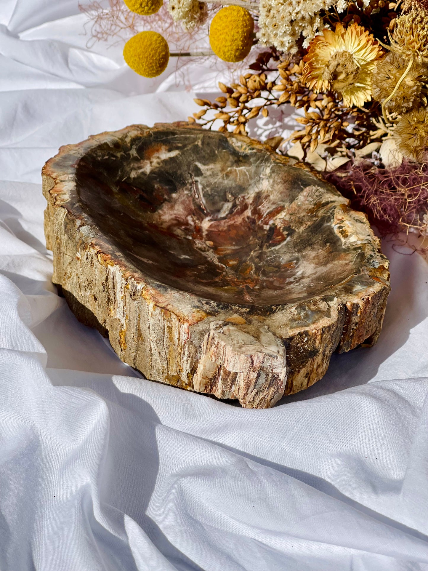 Petrified Wood Bowl