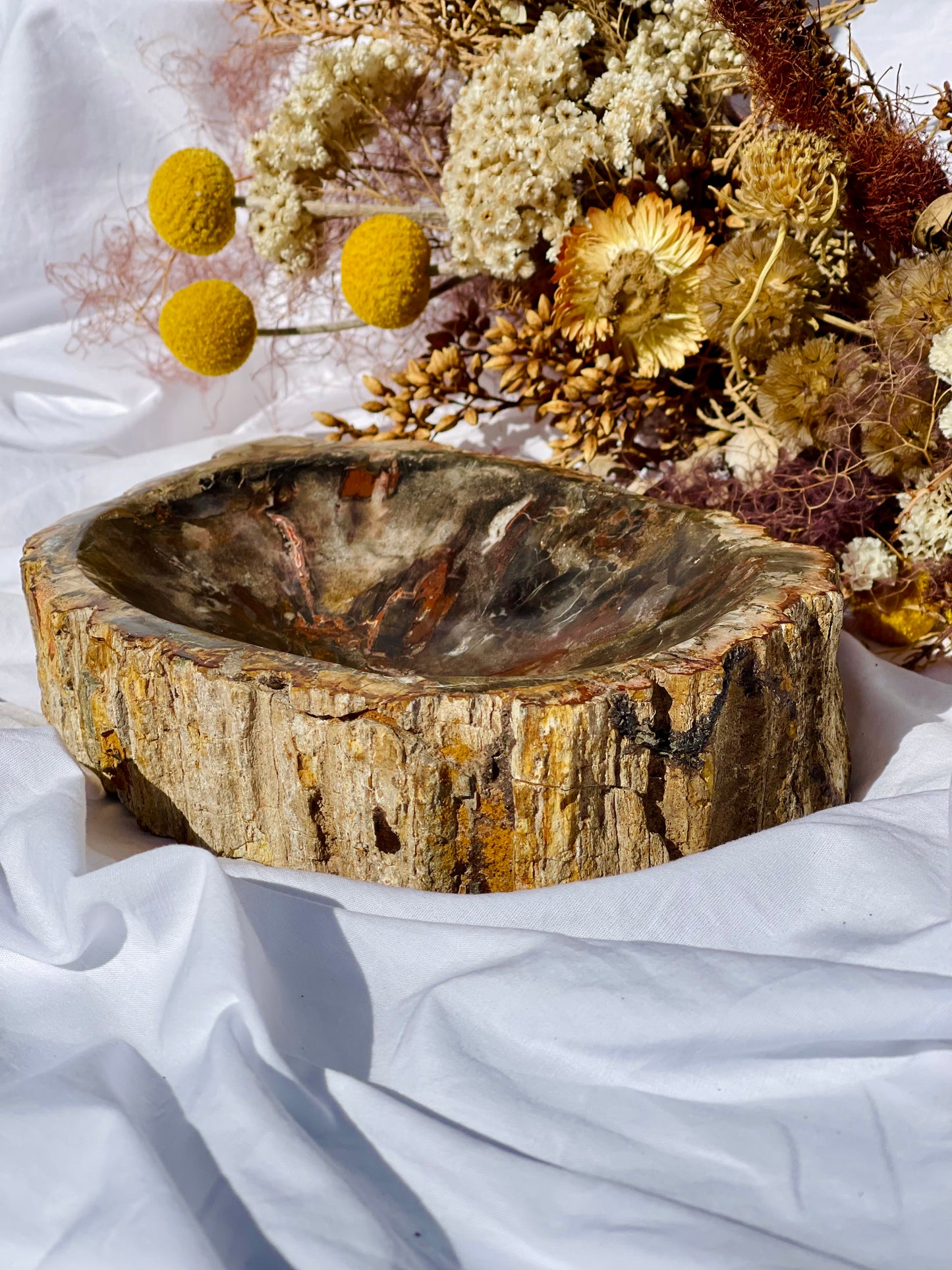 Petrified Wood Bowl