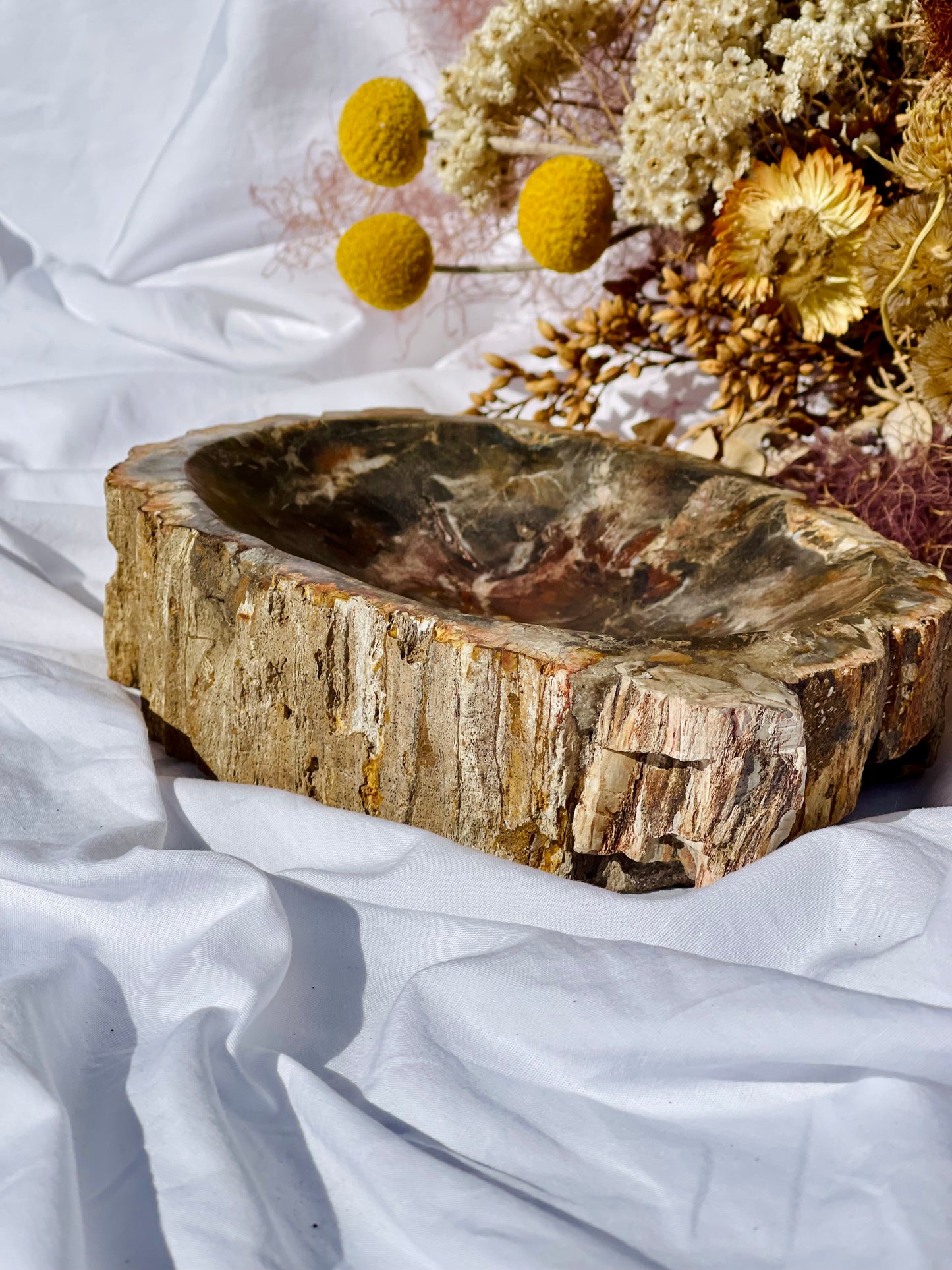 Petrified Wood Bowl