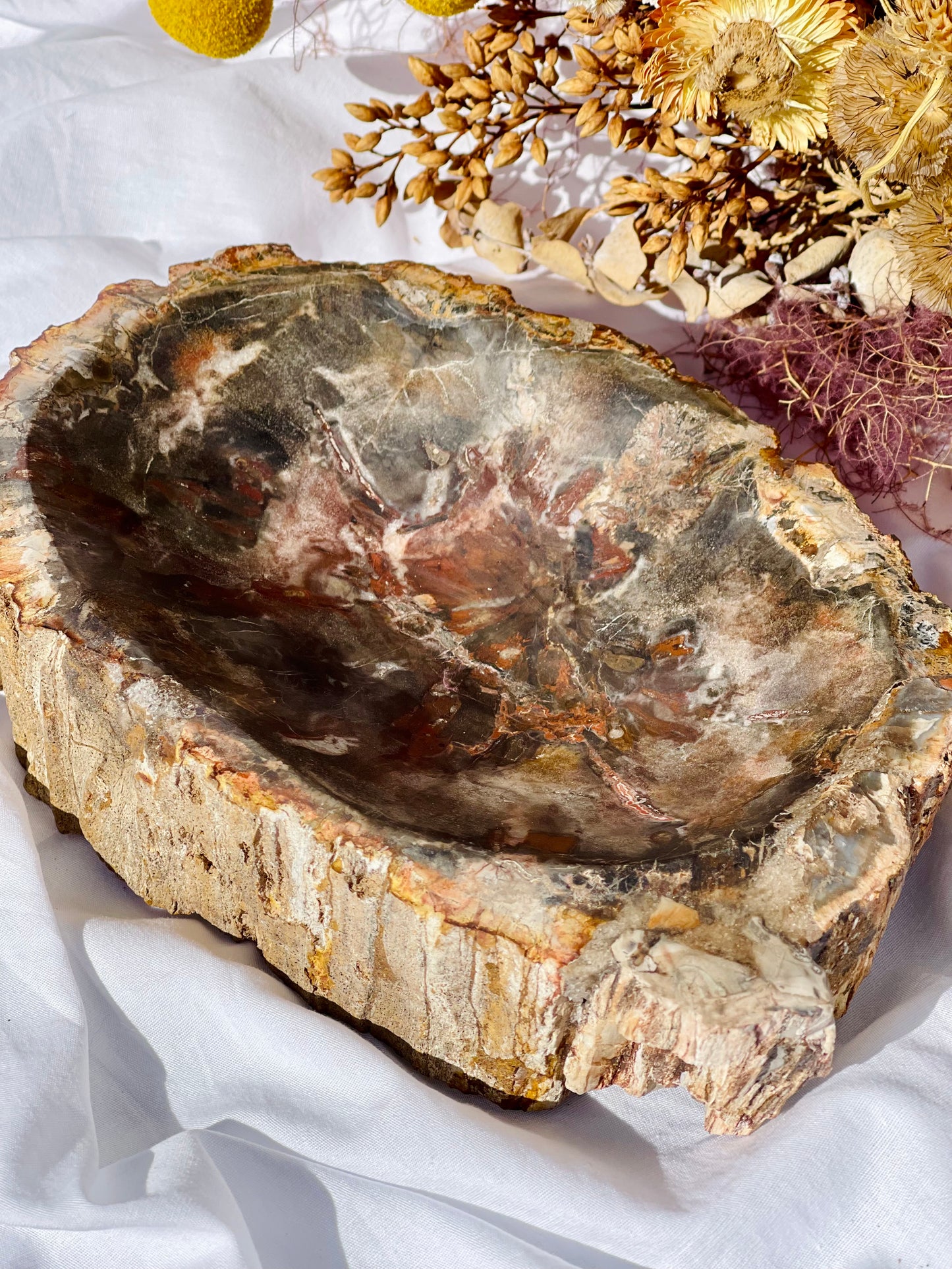 Petrified Wood Bowl