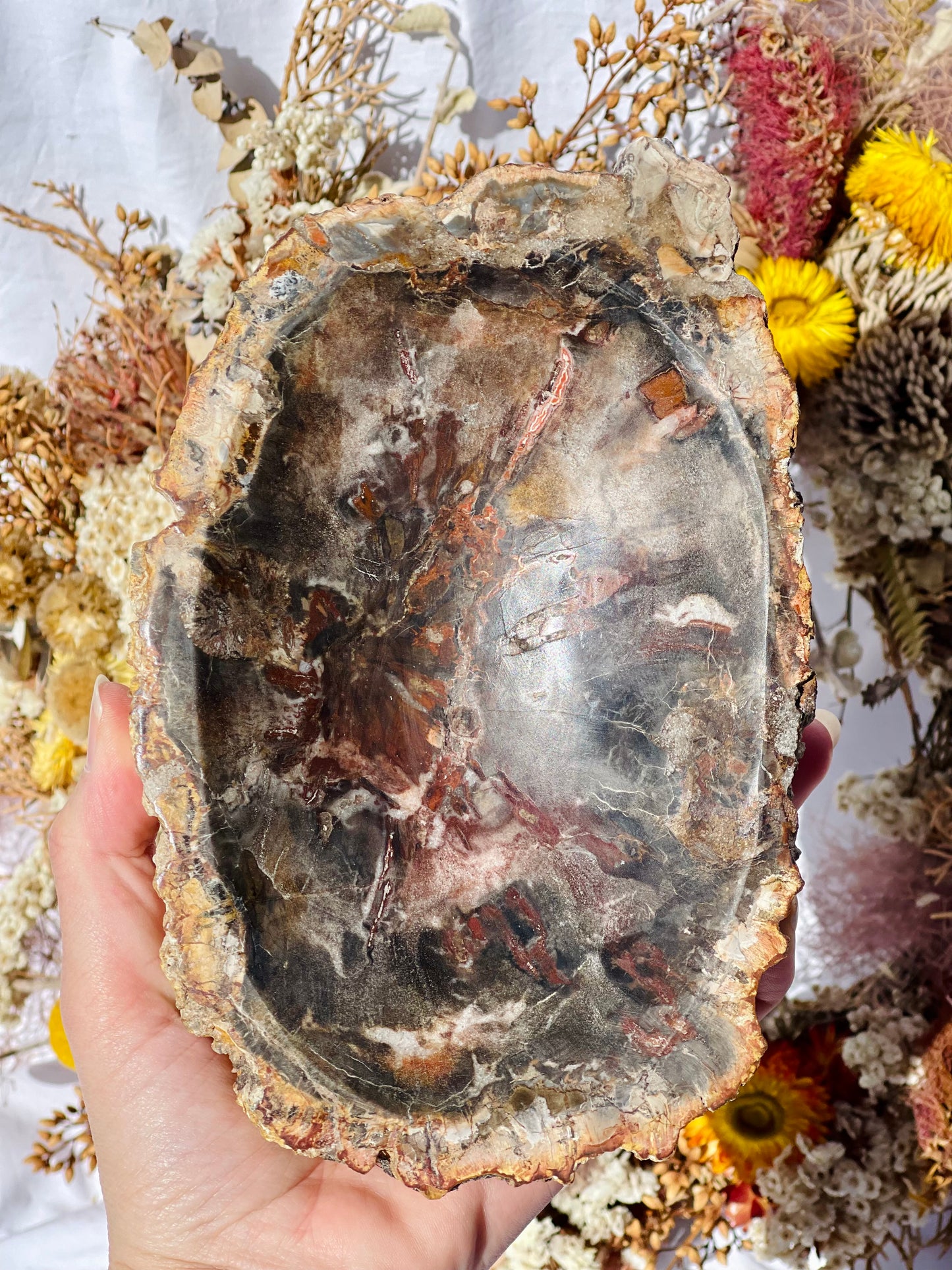 Petrified Wood Bowl