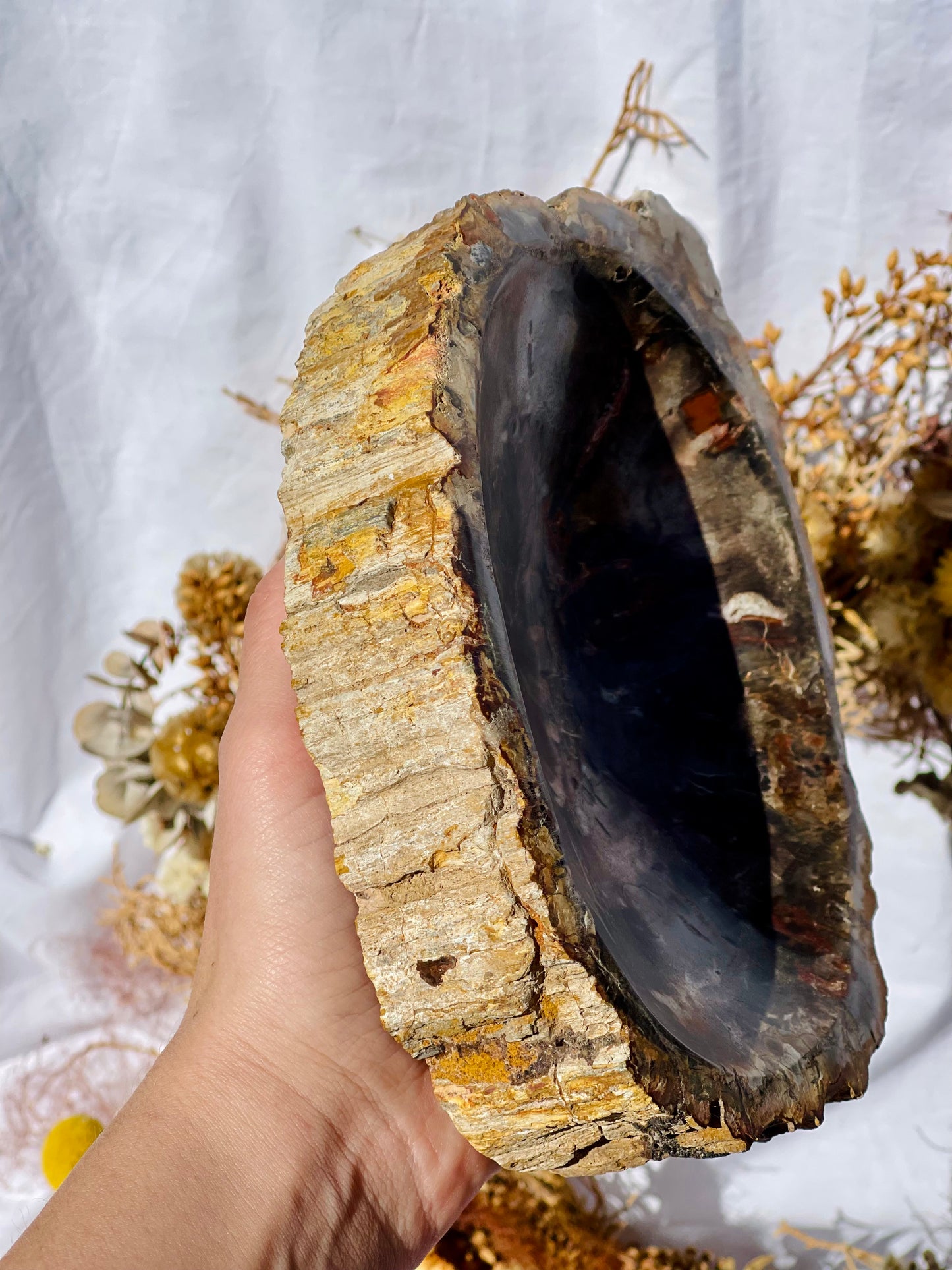 Petrified Wood Bowl