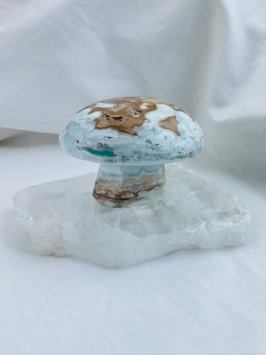 Caribbean Calcite Mushroom