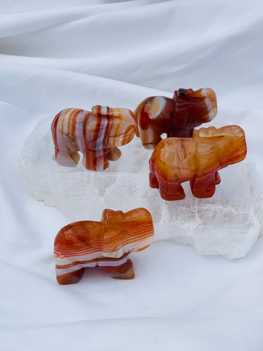 Carnelian Elephant