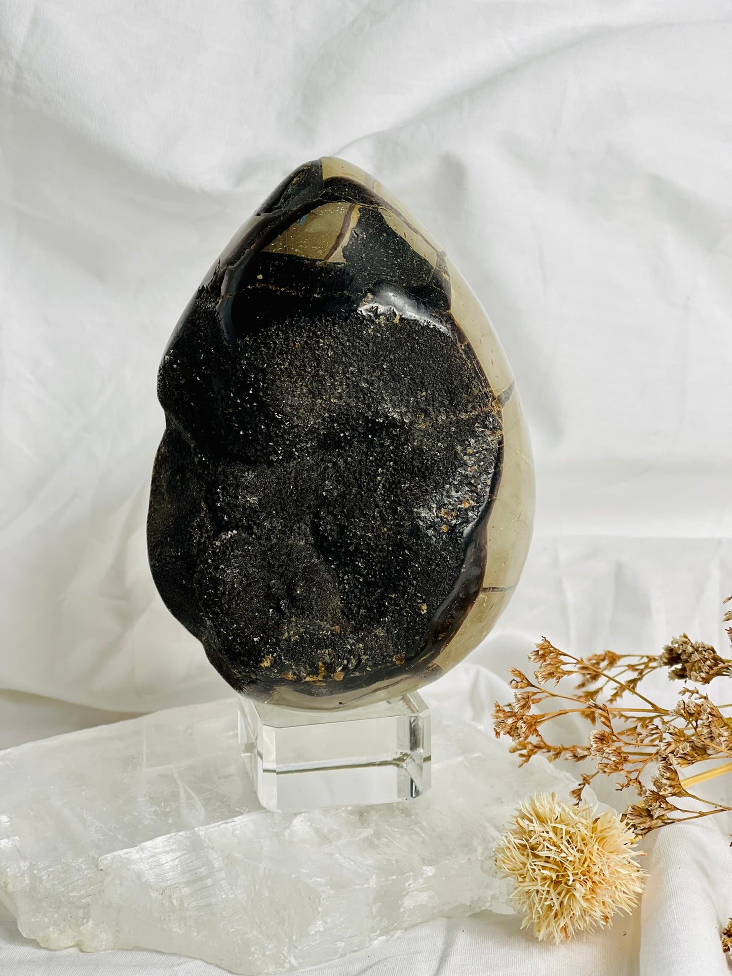 Black Septarian Egg