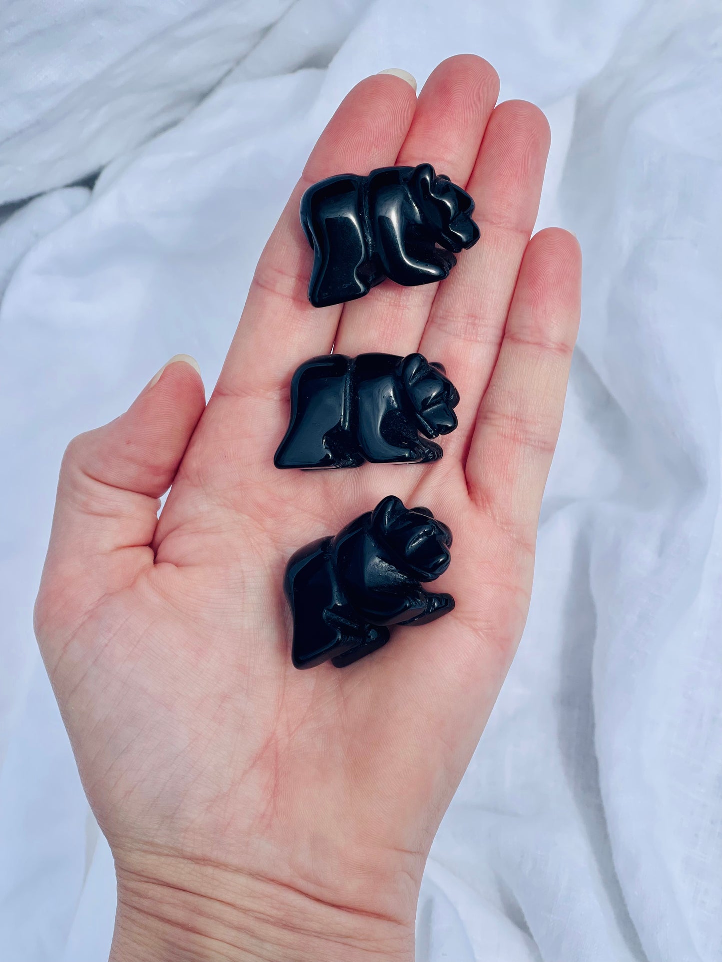 Black Obsidian Bear