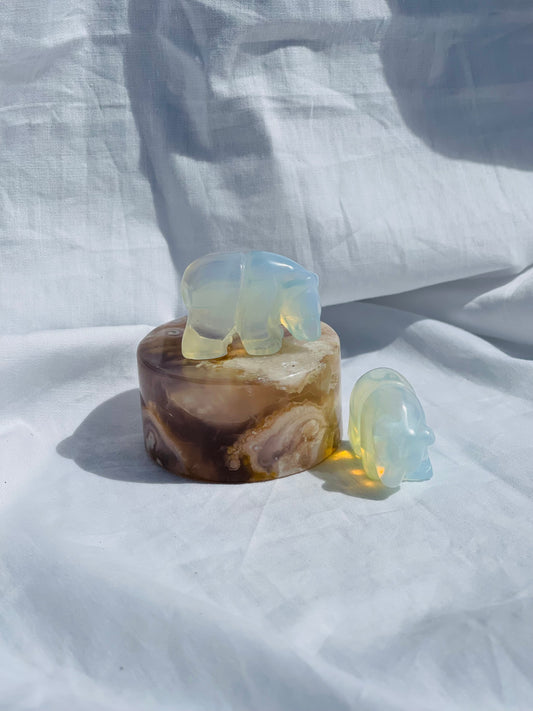 Opalite Bear