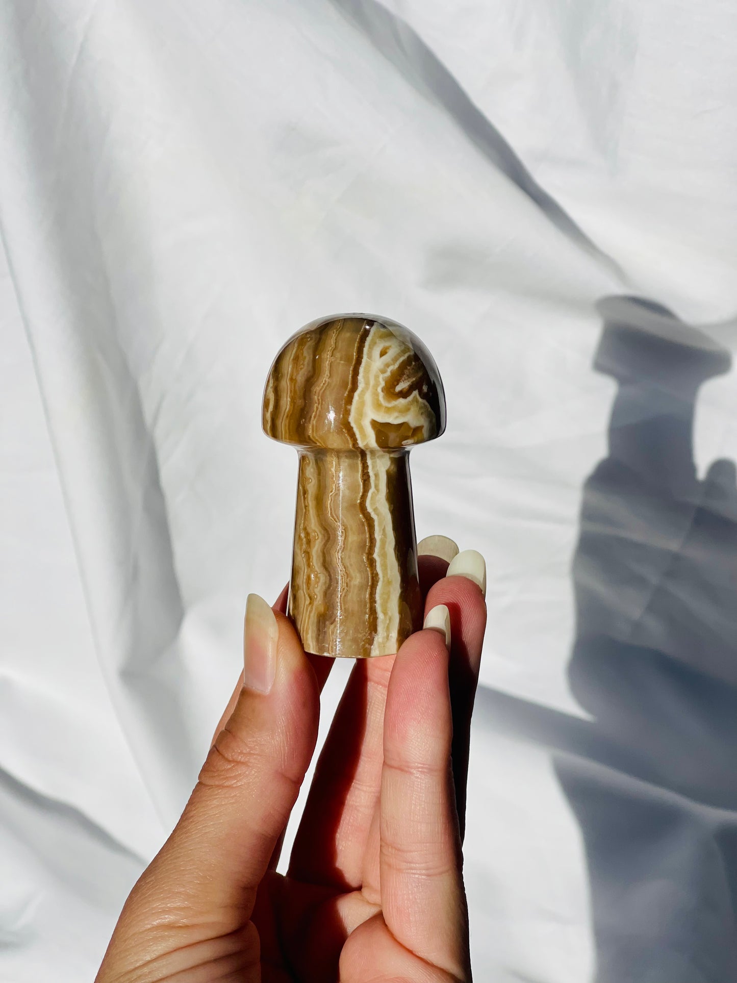 Chocolate Calcite Mushroom