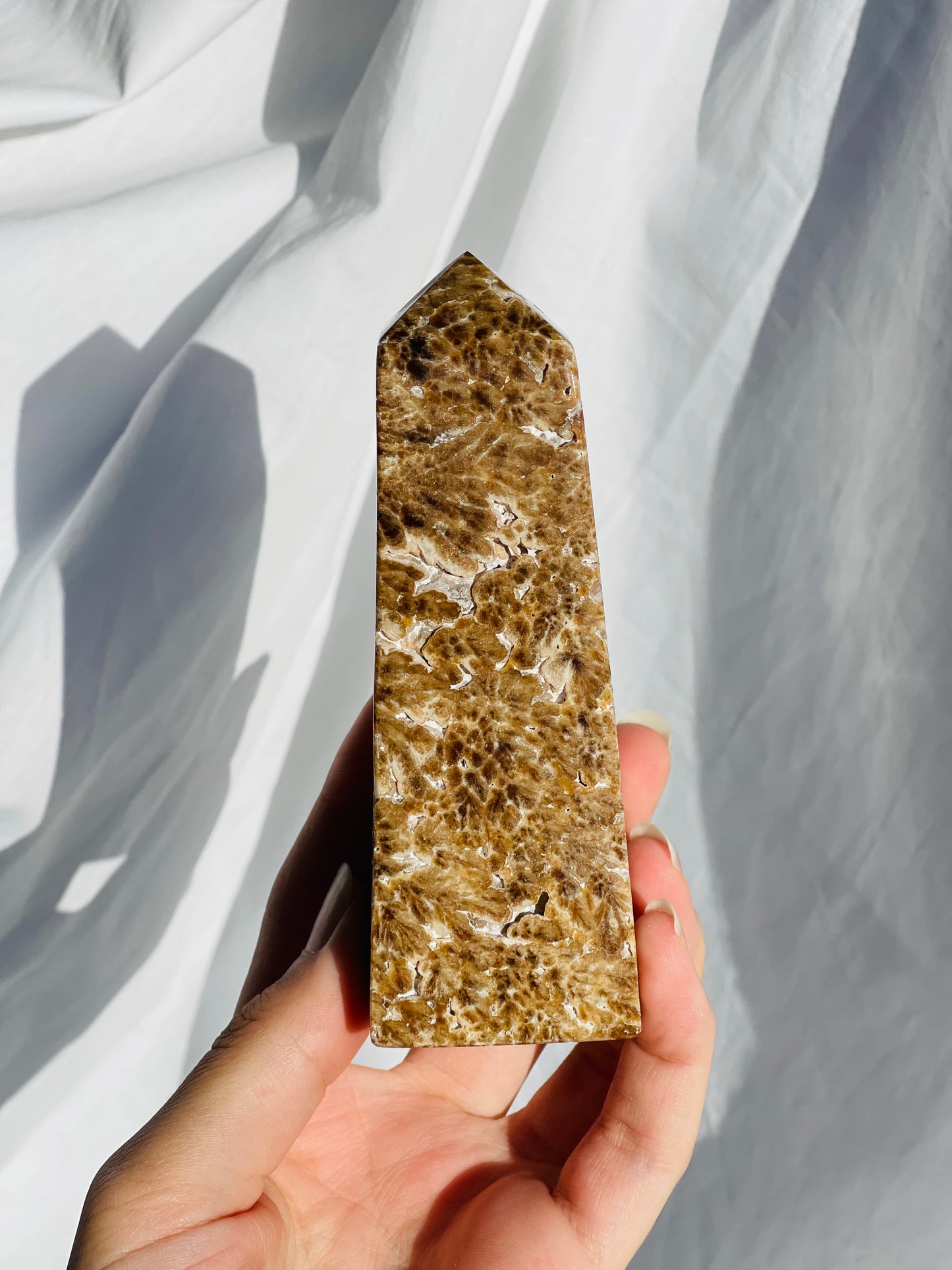 Chocolate Calcite point