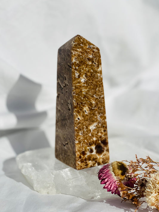 Chocolate Calcite point