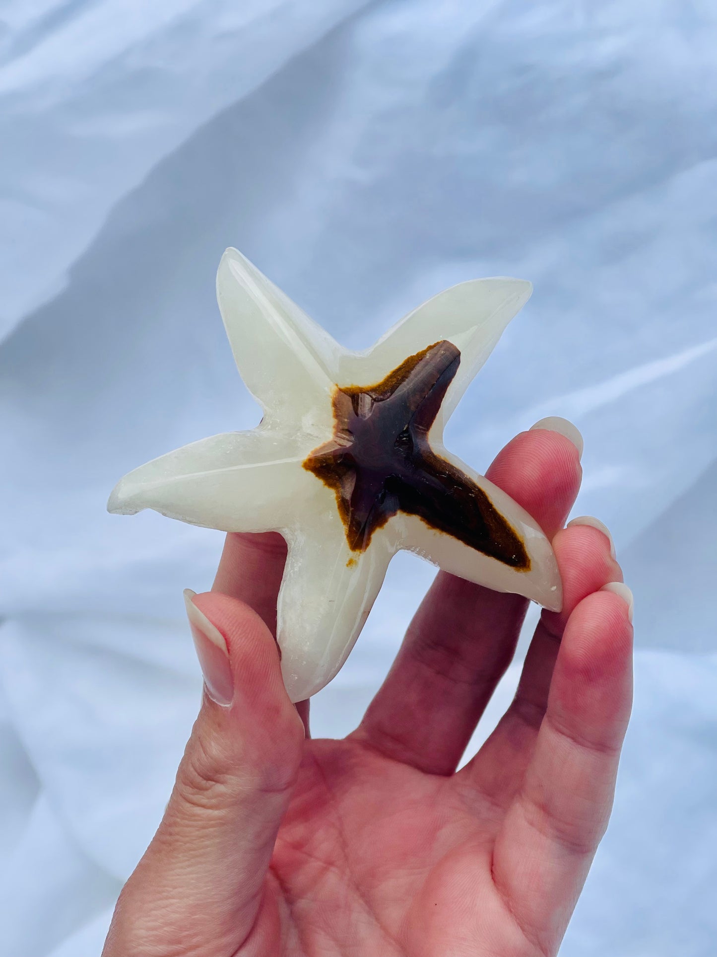Agate Starfish